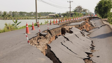 ভূমিকম্প হওয়ার ৭ দিন আগেই টের পায় যে প্রাণী