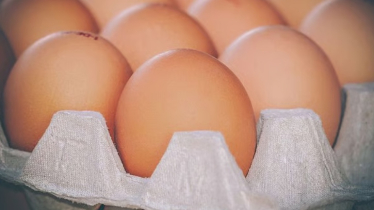 ৪০ দেশ থেকে মুরগি ও ডিম আমদানিতে সৌদির নিষেধাজ্ঞা  