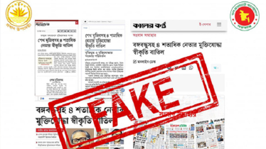 শেখ মুজিবসহ শতাধিক নেতার মুক্তিযোদ্ধা স্বীকৃতি বাতিলের খবর মিথ্যা: প্রেস উইং