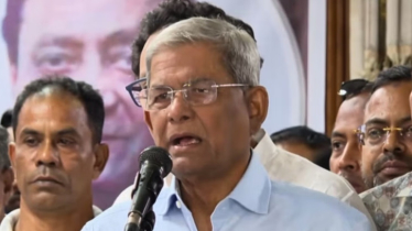 যারা বিভাজন করতে চায় তারা কেউ দেশের ভালো চায় না: মির্জা ফখরুল