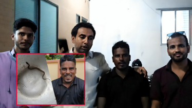 পুরস্কারের আশায় জীবিত রাসেল ভাইপার ধরে নিয়ে এলেন কৃষক, অতঃপর...