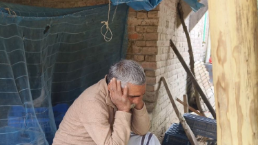 একের পর এক গরু চুরি, আতঙ্কে শিবগঞ্জের খামারিরা!