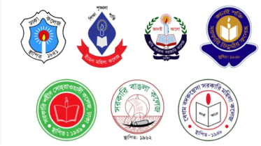 নীতিগত সিদ্ধান্ত সরকারের, ৭ কলেজ নিয়েই হবে ‘ঢাকা কেন্দ্রীয় বিশ্ববিদ্যালয়’