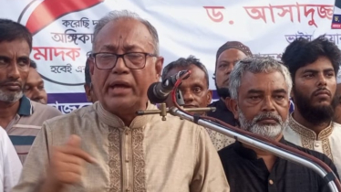 দেশ অত্যন্ত সংকটের মধ্যে রয়েছে: ড. আসাদুজ্জামান রিপন