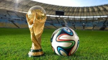 ফিফা বিশ্বকাপ ট্রফিতে স্বর্ণের পরিমাণ কতটুকু ও দাম কত?