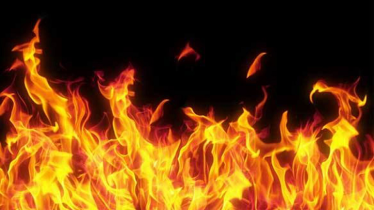 বাড্ডায় বাসে আগুন, ককটেল বিস্ফোরণ বাড্ডায় বাসে আগুন, ককটেল বিস্ফোরণ