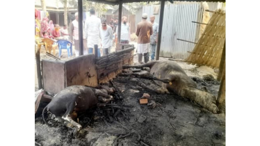 আগুনে পুড়ে গেছে গোয়ালঘর, ৪ লক্ষাধিক টাকার ক্ষতি কৃষকের 