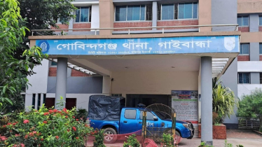 গরু চুরি করে পালানোর সময় গণপিটুনিতে ৩ ব্যক্তির মৃত্যু