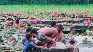 শাপলা তুলতে গিয়ে নৌকা ডুবে দুই বন্ধুর মর্মান্তিক মৃত্যু