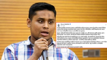 মির্জা আব্বাসকে নিয়ে আপত্তিকর মন্তব্যের পর দুঃখ প্রকাশ করলেন হাসনাত