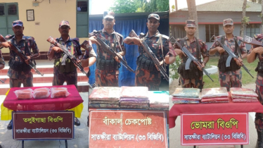 সীমান্ত থেকে ভারতীয় শাড়ি, ঔষধ ও মাদকসহ বিভিন্ন মালামাল জব্দ