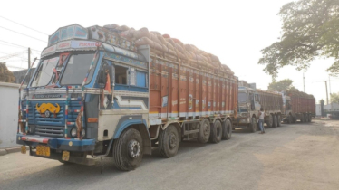 শাটডাউনে অচল সোনামসজিদ স্থলবন্দর, প্রতিদিন ৩ কোটি রাজস্ব লোকসান