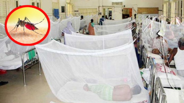 থামছে না ডেঙ্গুর প্রকোপ, আরও দুইজনের প্রাণহানি