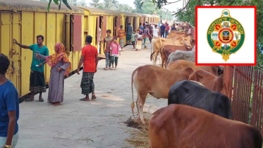 রেললাইনের পাশে পশুর হাট না বসানোর অনুরোধ, শর্তসাপেক্ষে অনুমোদন