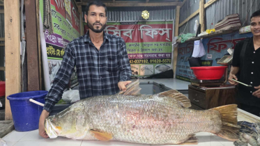 ৩৪ হাজার টাকায় বিক্রি হলো ২২ কেজি ওজনের কোরাল