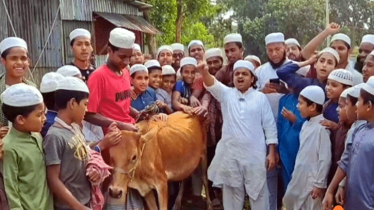 কথা রাখলেন মাদানী, আ. লীগ নিষিদ্ধের খুশিতে খাওয়ালেন গরু জবাই করে
