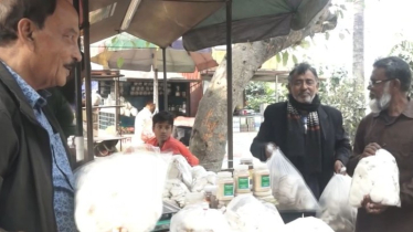 সাভারের মাশরুম বাজার, ঝুড়িভর্তি ‘সোনার ফসল’