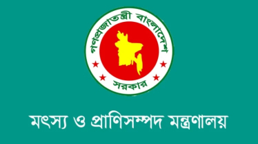 মৎস্য ও প্রাণিসম্পদ খাতে ১০০ কোটি টাকা ভর্তুকির সিদ্ধান্ত