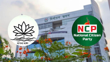 শাপলা নিয়ে ইসির কঠোর সিদ্ধান্তে ক্ষুব্ধ প্রতিক্রিয়া এনসিপি নেতাদের