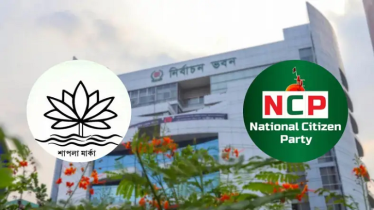 শাপলা নয়, ইসির পছন্দেই প্রতীক নিতে হবে এনসিপিকে শাপলা নয়, ইসির পছন্দেই প্রতীক নিতে হবে এনসিপিকে