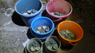 জেনেভা ক্যাম্পে গোপন কারখানা, ৩৫ ককটেল উদ্ধার