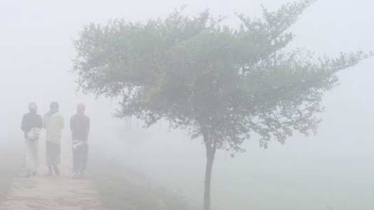 তেঁতুলিয়ায় অব্যাহত রয়েছে মৃদু শৈত্যপ্রবাহ