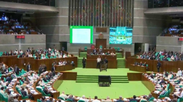 সংসদে বিশেষ অধিকার সম্পর্কিত স্থায়ী কমিটি গঠন