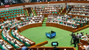 অন্তর্বর্তী সরকারের ১৩৩ অধ্যাদেশ পর্যালোচনায় ১৪ সদস্যের বিশেষ কমিটি গঠন