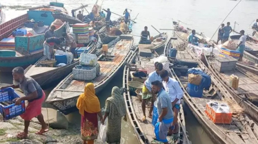 নদ-নদীতে আশানুরূপ মাছ না পেয়ে হতাশ জেলেরা নদ-নদীতে আশানুরূপ মাছ না পেয়ে হতাশ জেলেরা