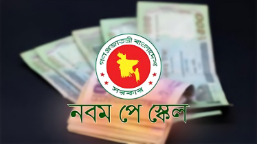 পে-স্কেলের মূল বেতন ৩০০ শতাংশ বৃদ্ধির প্রস্তাবের দাবি ঢাবি শিক্ষক-কর্মকর্তাদের