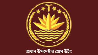 নির্বাচন ঘিরে দেড় মাসে ২৭৪ সহিংসতা, হত্যাকাণ্ড পাঁচটি 