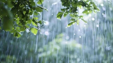 যে দুই বিভাগে রয়েছে বৃষ্টির পূর্বাভাস 