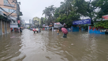 ফেনীতে সর্বোচ্চ বৃষ্টিপাত রেকর্ড, নদীর পানি বিপৎসীমার উপর