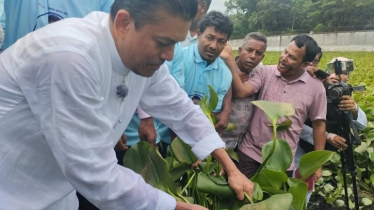 সমাজ উন্নয়নের দিকে কোনো খেয়াল ছিলো না আ. লীগের: রাকিবুল ইসলাম বকুল