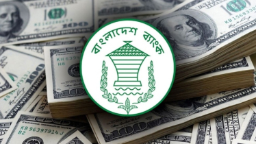 ফেব্রুয়ারির ২৩ দিনে রেমিট্যান্স এসেছে ২.৫৬ বিলিয়ন ডলার 