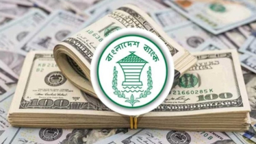 অর্থনৈতিক পুনরুদ্ধারের পথে দেশ