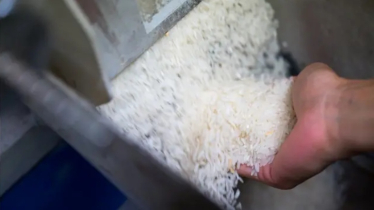 বাংলাদেশে রফতানি করতে ১ লাখ টন চাল কিনছে পাকিস্তান