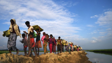 এক বছরে রোহিঙ্গা বেড়েছে ১ লাখ ৭৯ হাজার: ইউএনএইচসিআর 