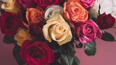 আজ রোজ ডে, জেনে নিন কোন রঙয়ের গোলাপের কি অর্থ