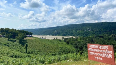 সীমান্তে ভারতীয় খাসিয়াদের গুলিতে ২ বাংলাদেশি নিহত