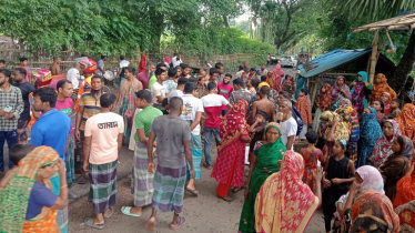 সাতক্ষীরায় পিকআপের ধাক্কায় ভ্যানচালক নিহত
