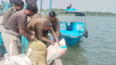 সাতক্ষীরা রেঞ্জ থেকে ৭ হাজার ৫০০ কেজি শামুক ও ঝিনুক জব্দ