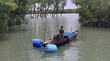 সুন্দরবন থেকে ৭ জেলেকে অপহরণ করে মুক্তিপণ দাবি 