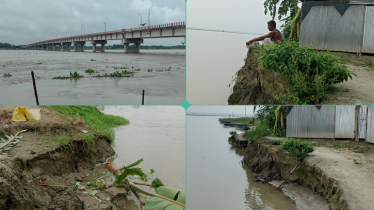 তিস্তায় সেতু রক্ষা বাঁধে ভাঙন, আতঙ্কে ১২০০ পরিবার
