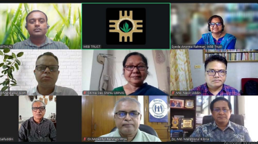 তামাক চাষ বাড়লে, বিলুপ্ত হবে ইলিশ: আশঙ্কা বিশেষজ্ঞদের