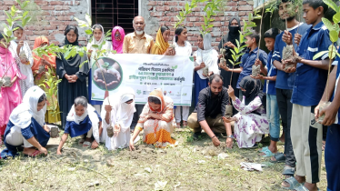 পরিবেশ দিবসে ১৭০০ স্বেচ্ছাসেবী লাগালেন ৫ সহস্রাধিক গাছ