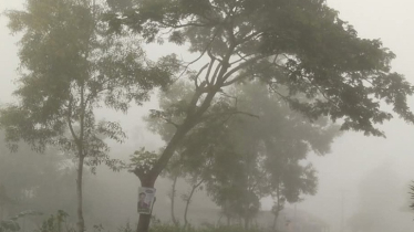 শীত নিয়ে নতুন যে বার্তা দিলো আবহাওয়া অধিদফতর