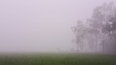 জেনে নিন শীতের শুরু ও প্রথম শৈত্যপ্রবাহ কবে 