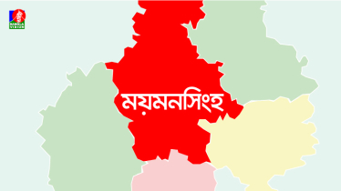 ভালুকায় দুই বাসের সংঘর্ষে নিহত ২ 