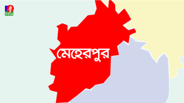 পুকুরপাড়ে খেলছিল দুই শিশু, পানিতে ডুবে গেলো প্রাণ